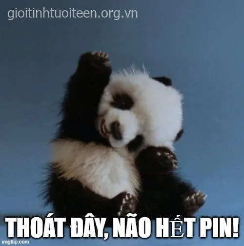 Ảnh troll đồng nghiệp rời công ty nhưng để lại kỷ niệm đẹp.