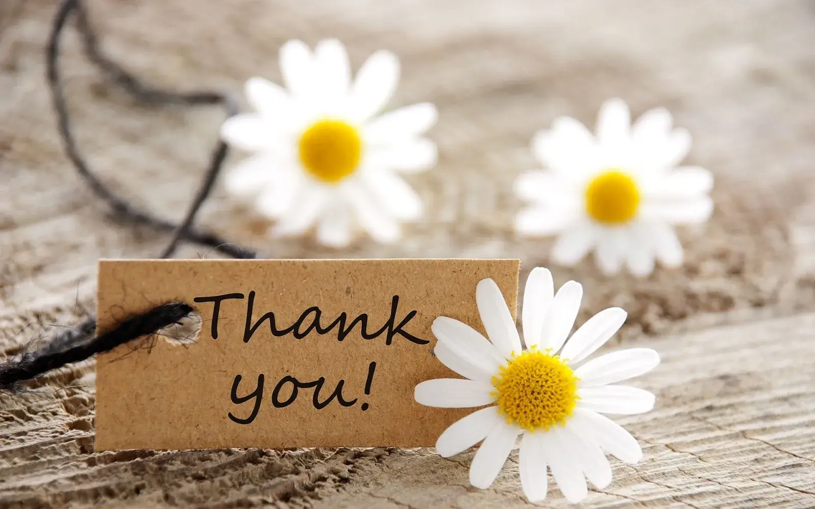 Ảnh troll giảng đường sáng đèn, slide kết bài xuất hiện