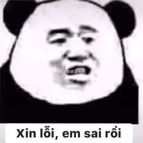 Meme vui xin lỗi trong tình huống ngượng khiến tim mềm lại