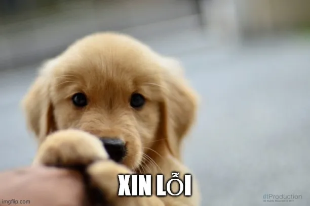Meme xin lỗi bạn thân khiến nhóm chat bùng nổ tiếng cười