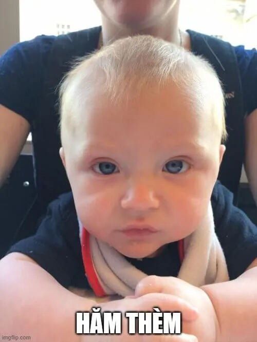 Ảnh troll dáng khoanh tay kiểu “ờ thế à, nghe hoài”