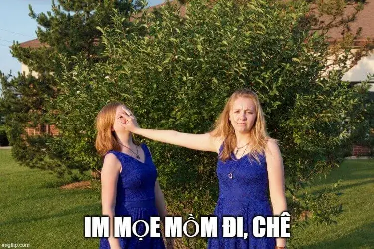 Meme hài chê gắt thể hiện thái độ coi thường cực đỉnh