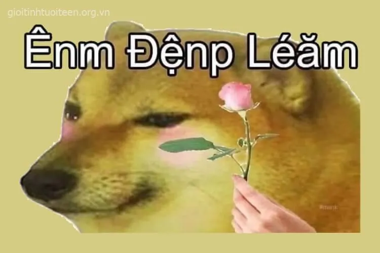 Cheems sung sướng, nụ cười toe toét đầy vui nhộn