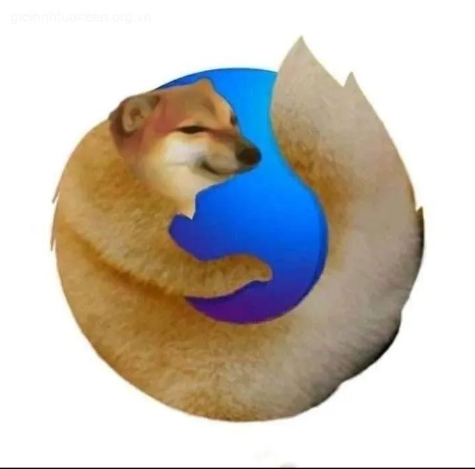 Hình troll chú chó đơ tạo vibe hài siêu dễ thương