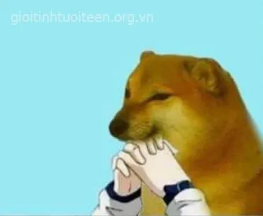 Meme hài Cheems kể chuyện tình huống dở khóc dở cười