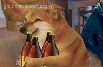 Meme Cheems đáng yêu kiểu ngáo nhẹ siêu cuốn