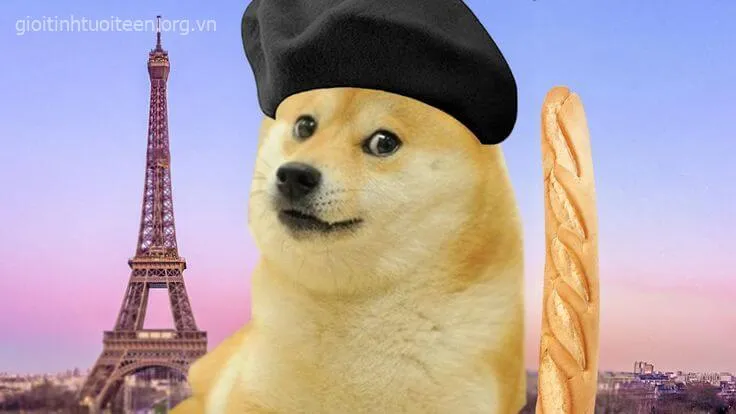 Hình chế Doge đơ phản ứng trước caption lầy lội