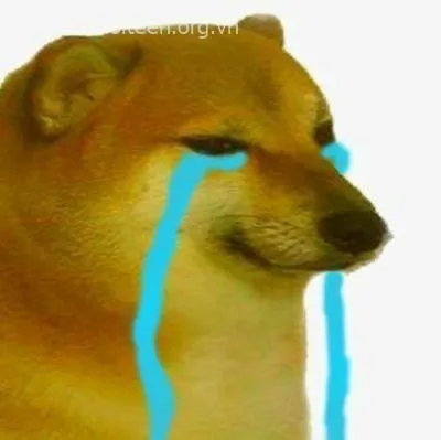 Cheems phấn khích với nụ cười rạng rỡ, đầy năng lượng