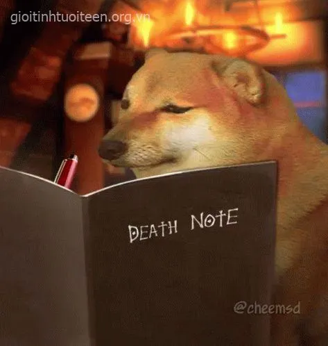 Ảnh troll chú Shiba biểu cảm cười trừ siêu hợp trend