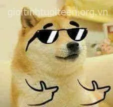 Chó Cheems bắn like