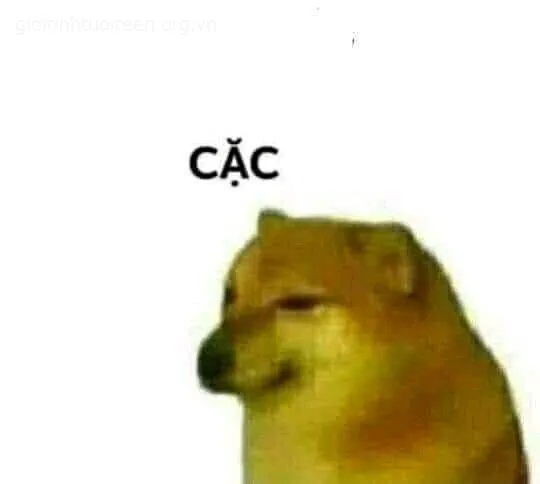 Biểu cảm Cheems troll vừa lầy lội vừa cực kỳ dễ thương