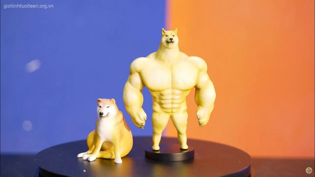 Ảnh vui Shiba Inu đơ mặt nhưng cưng không chịu nổi