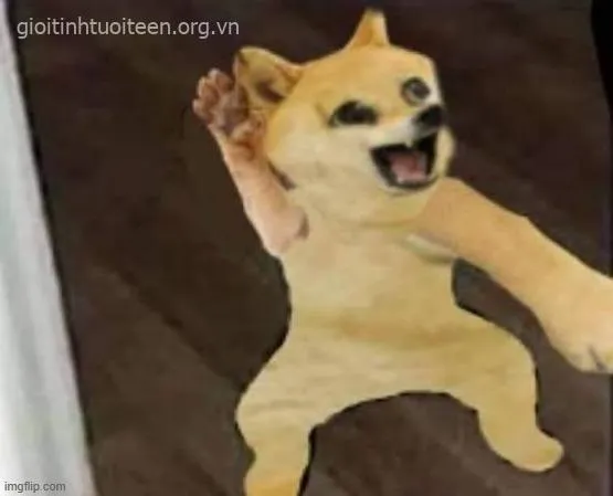 Ảnh chế Doge ngơ ngác biểu cảm siêu đáng yêu