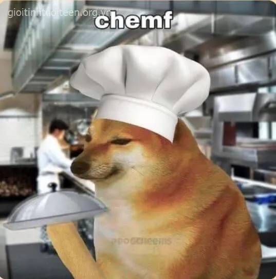 Biểu cảm Cheems đầu bếp vừa láu cá vừa dễ thương