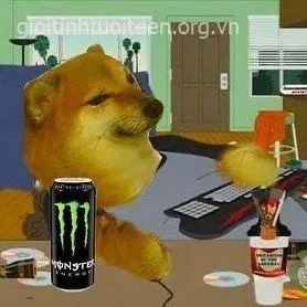 Ánh mắt Cheems troll ranh mãnh, khuôn mặt cực kỳ đáng yêu