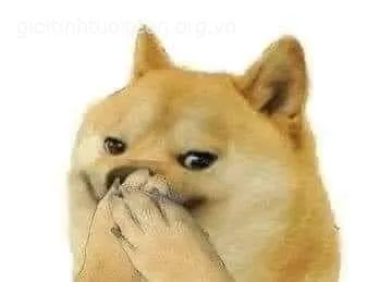 Ảnh vui chó mặt bánh bao đơ nhẹ nhìn yêu quá