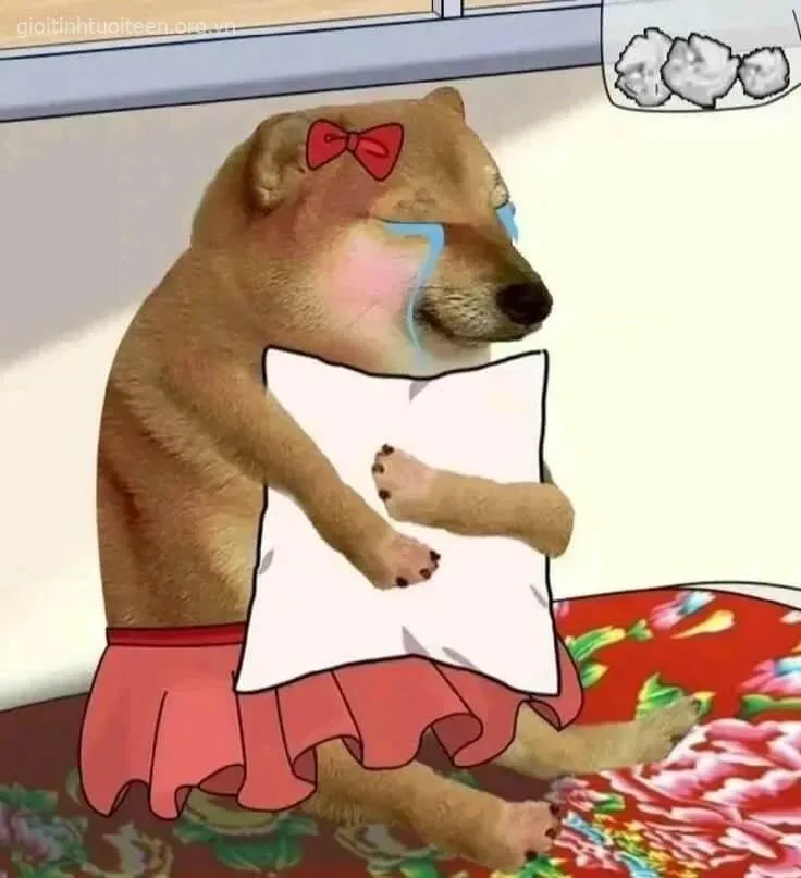 Cheems đeo nơ hồng ôm gối tủi thân