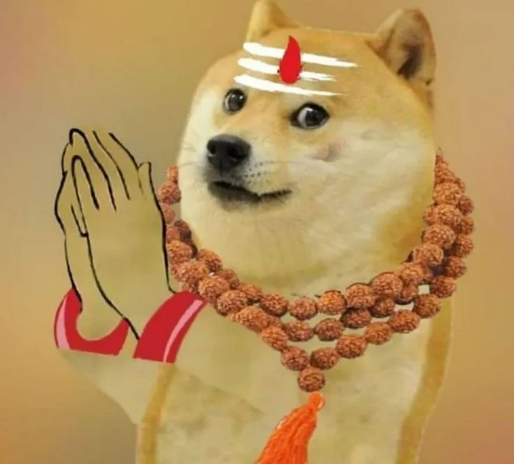 Cheems trừ tà ánh mắt láu lỉnh