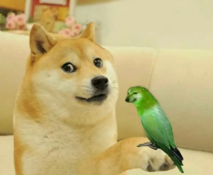 Biểu cảm Cheems troll vừa dí dỏm vừa tinh nghịch đáng yêu