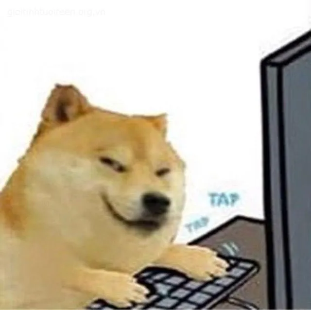 Cheems ngồi trước máy tính cười ranh mãnh