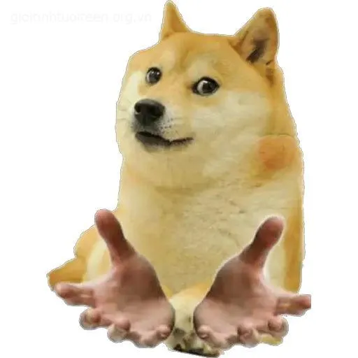 Cheems troll nụ cười ma mãnh, biểu cảm khiến ai cũng cười