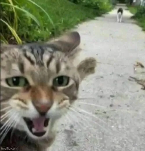 Những pha “chỉ tay nhầm người” khiến cộng đồng mạng khóc cười