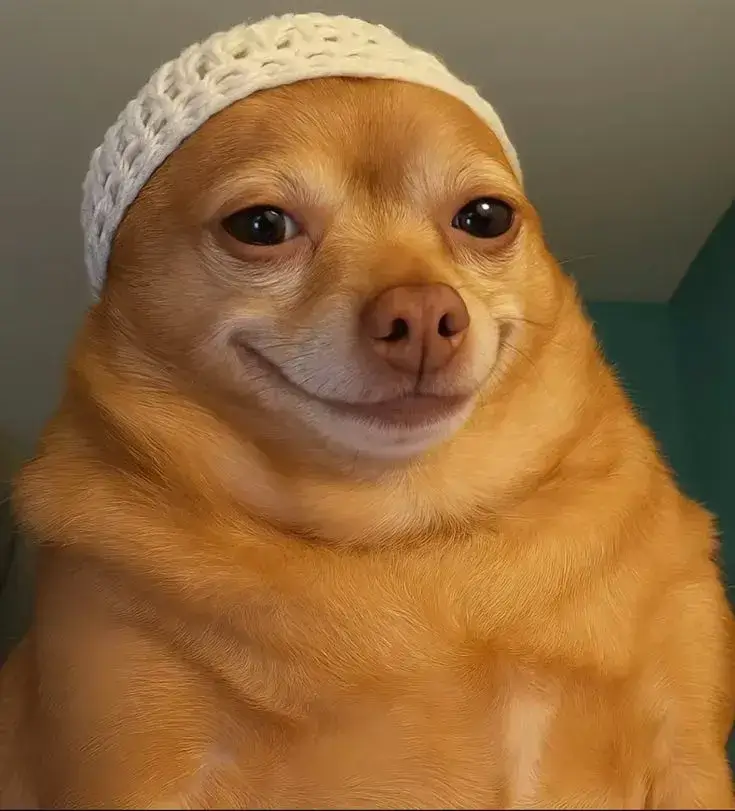 Meme chó cười đểu, gương mặt tinh quái.