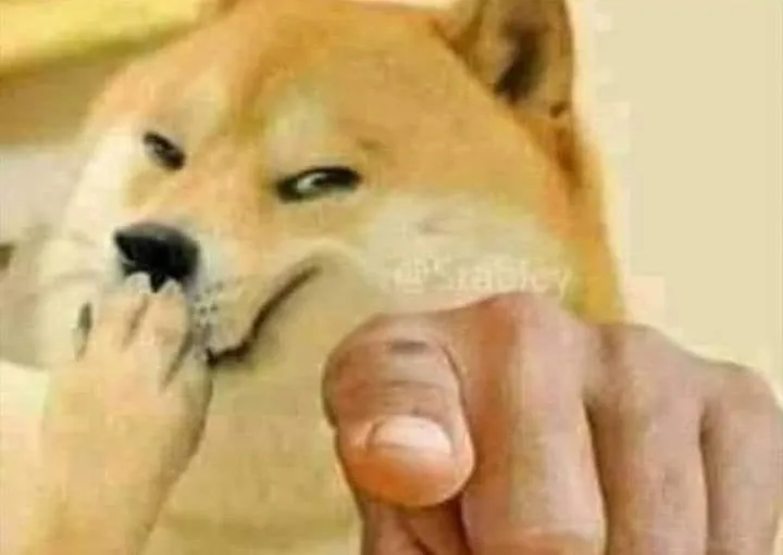 92 Chó cười đểu chỉ tay, khuôn mặt bí hiểm.