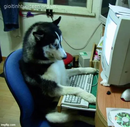 Hình chế chó ngáo nhìn xa xăm như đang suy tư