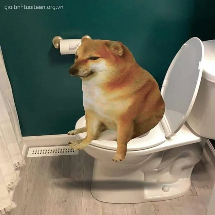 Meme bựa tình huống đời thường mà lầy lội