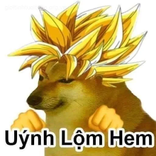 Hình chế chó ngáo ngơ cực viral trên TikTok tuần qua