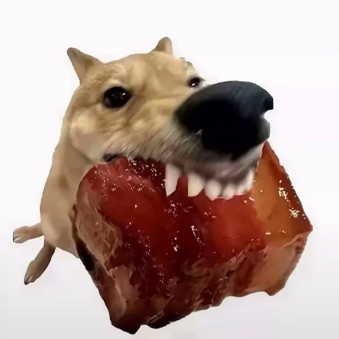 Hình chó dữ dằn, ánh nhìn đáng sợ mà buồn cười