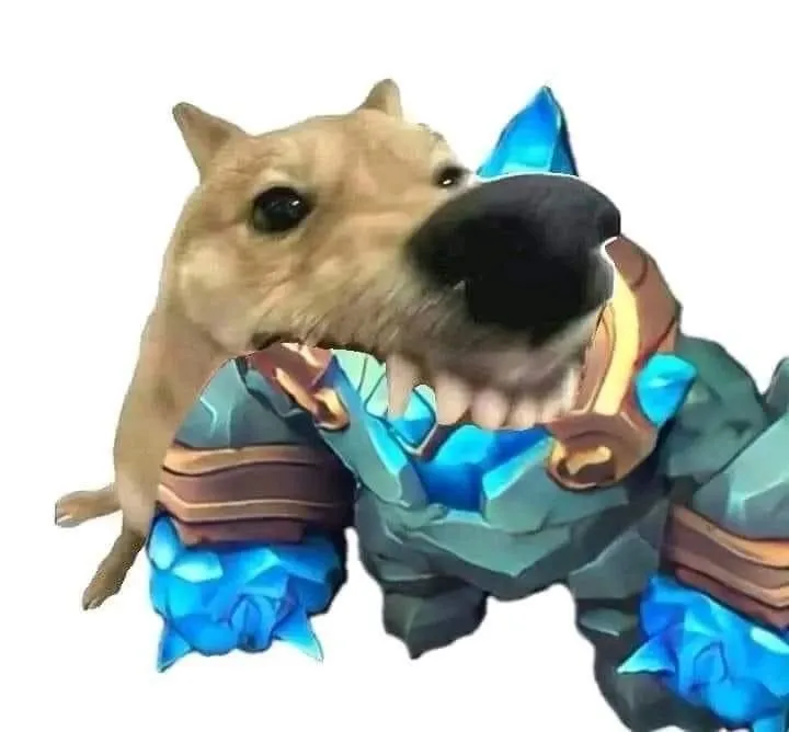 Hình chó táp nhanh, biểu cảm căng thẳng khó đỡ nổi