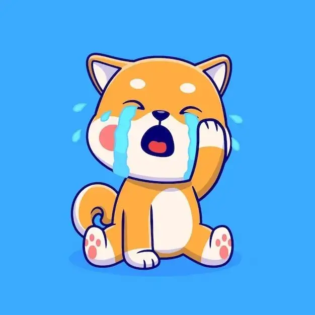 Ảnh chế chó buồn nhẹ mà khiến người xem xao lòng