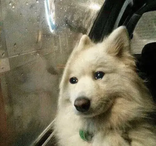 Hình chế meme vui thể hiện nỗi buồn giấu kín trong mắt