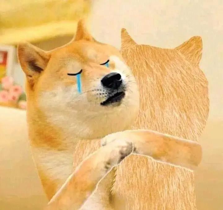 Hình chế chó khóc gợi lại mấy lần bị bạn thân troll