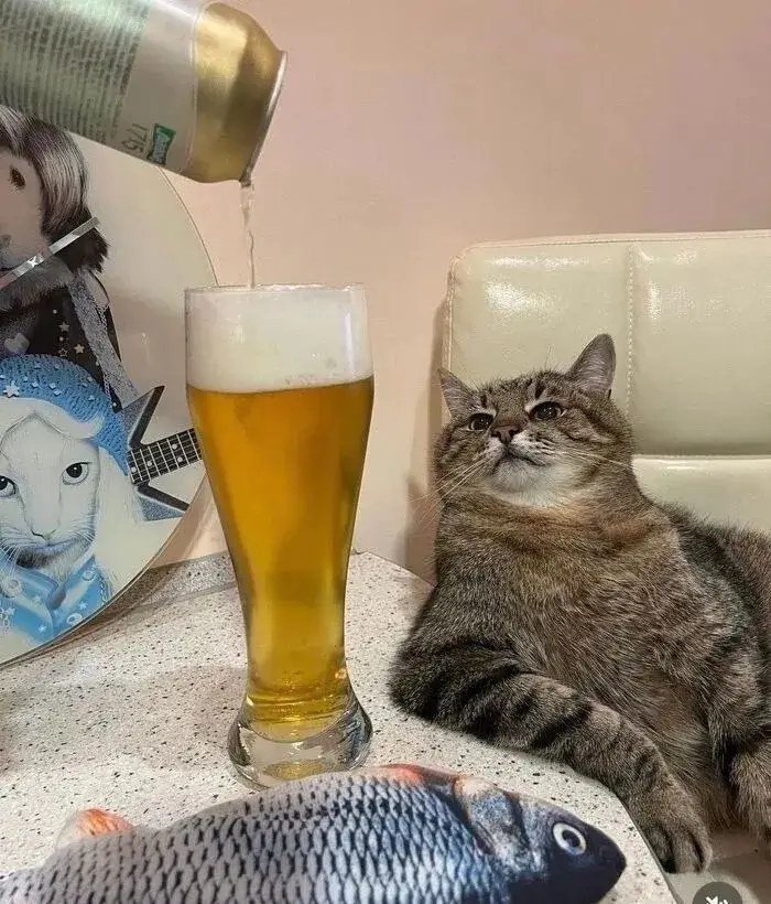 Hình ảnh mèo nâng chai rượu, ánh mắt lém lỉnh tinh nghịch.