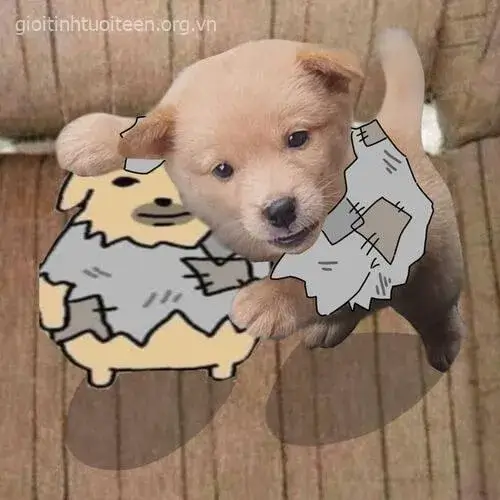 Hình meme boss chibi cười lém lỉnh như vừa trúng quà