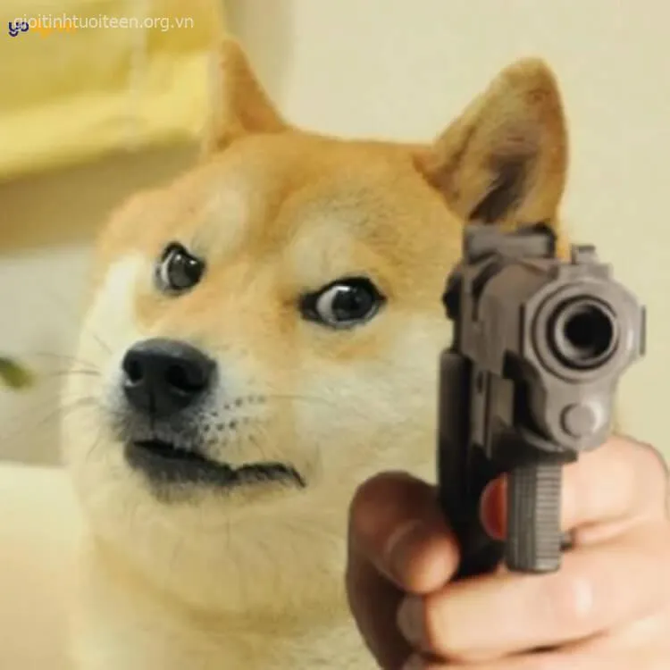 Meme Shiba cầm súng, ánh mắt sắc bén như gangster.