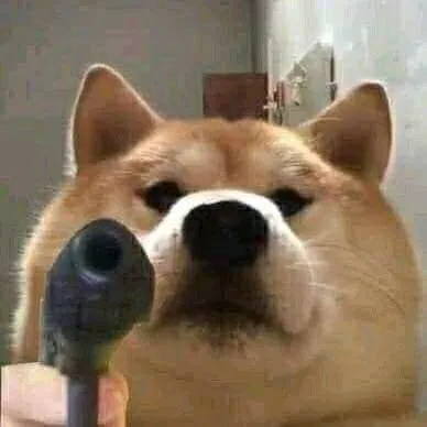 Avatar Shiba cầm súng nhỏ, gương mặt ngây ngô hài hước.