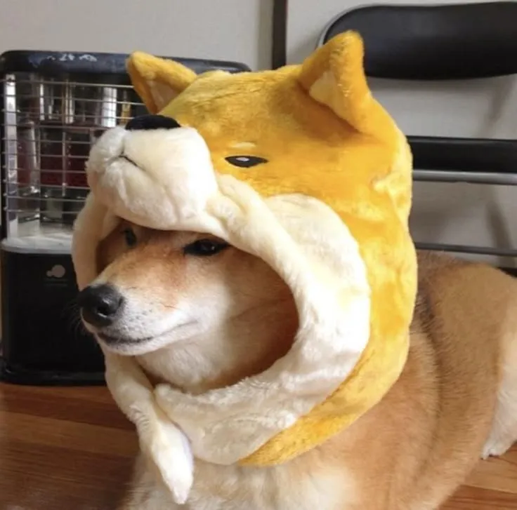 Meme chế Shiba khiến mạng xã hội nổ tung bình luận