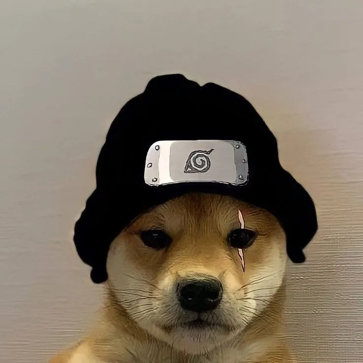 Meme vui Shiba Inu khiến dân mạng nhận ra: đơ cũng là nghệ thuật.