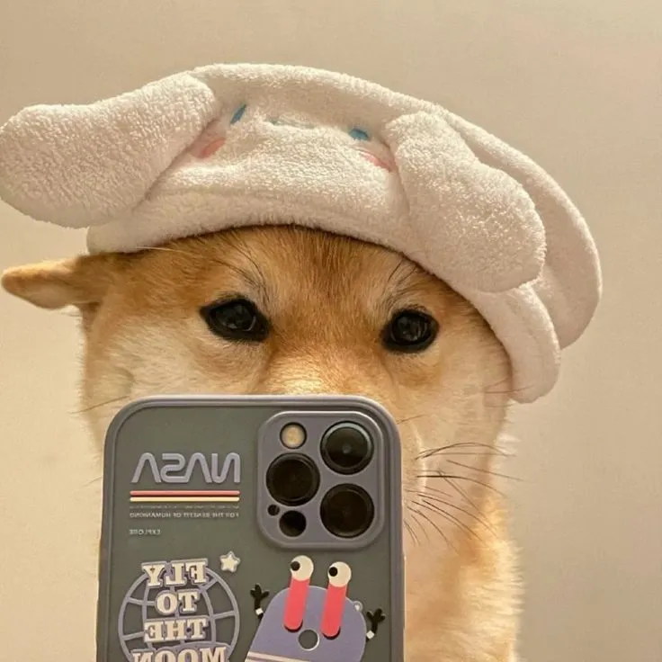 Meme chế Shiba Inu ánh mắt xa xăm nhưng caption lại cực bựa.