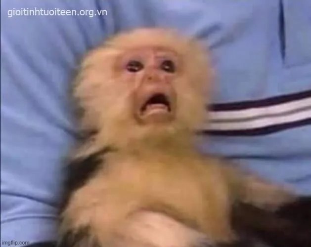 Meme hài gương mặt phản xạ sinh học thú vị.