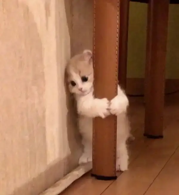 Ảnh chế phản ứng dây chuyền khi bạn bè cũng sốc.