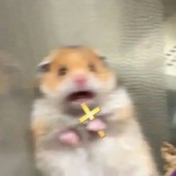 Ảnh vui khoảnh khắc giãn đồng tử đầy chân thật.