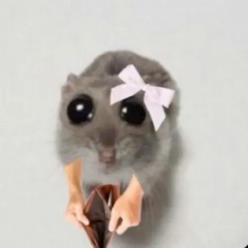 Ảnh troll chuột tinh tướng hợp mọi kiểu tâm trạng lửng lơ