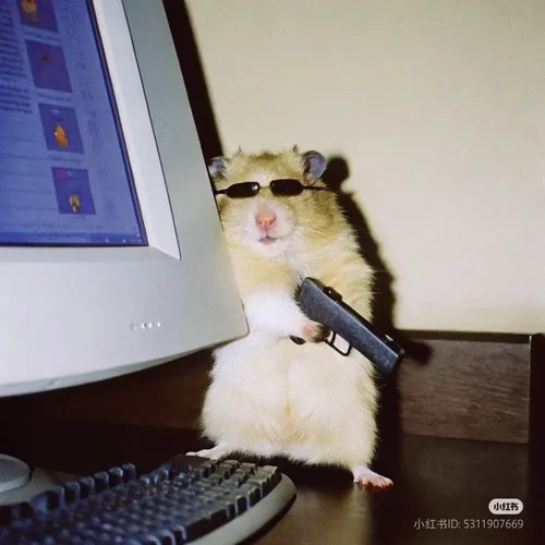 Meme chuột rúc tủ tạo vibe ngáo nhẹ mà đúng tâm trạng