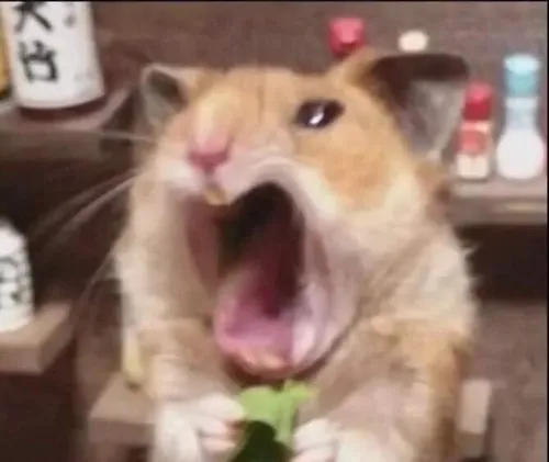 Ảnh vui chuột ngầu khoanh tay trước ngực như đại ca nhỏ.