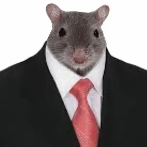 Meme chuột giật mình làm rơi cả vụn bánh khỏi tay.